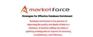 Strategies for Effective Database Enrichment